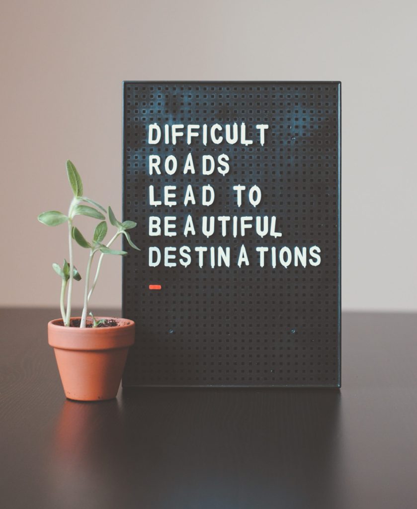 Eine Pflanze mit einem Leuchtschild, auf dem steht: "Difficult Roads Lead to Beautiful Destinations"